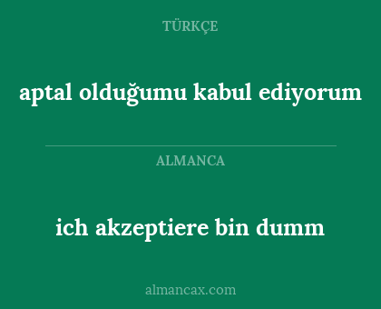ich akzeptiere bin dumm - aptal olduğumu kabul ediyorum