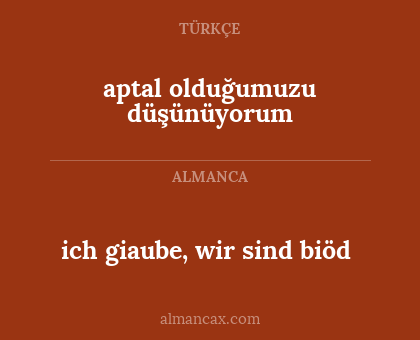 aptal olduğumuzu düşünüyorum - ich giaube, wir sind biöd