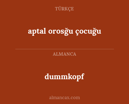 dummkopf - aptal orosğu çocuğu