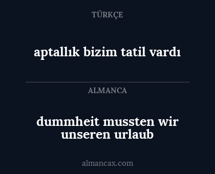 aptallık bizim tatil vardı - dummheit mussten wir unseren urlaub