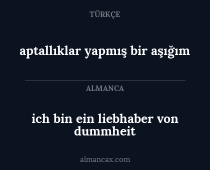 aptallıklar yapmış bir aşığım - ich bin ein liebhaber von dummheit