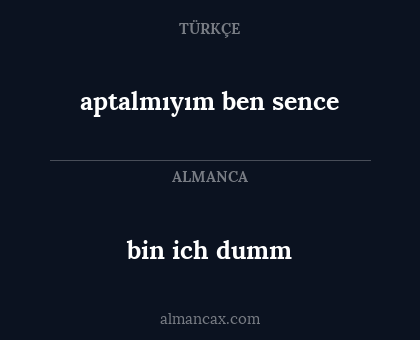 aptalmıyım ben sence - bin ich dumm