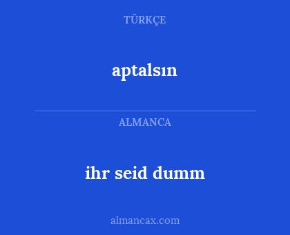 ihr seid dumm - aptalsın