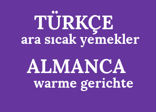 ara+s%C4%B1cak+yemekler-warme+gerichte.png