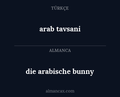 die arabische bunny - arab tavsani
