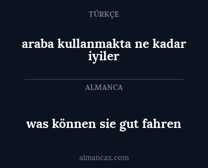 was können
sie gut fahren - araba kullanmakta ne kadar iyiler
