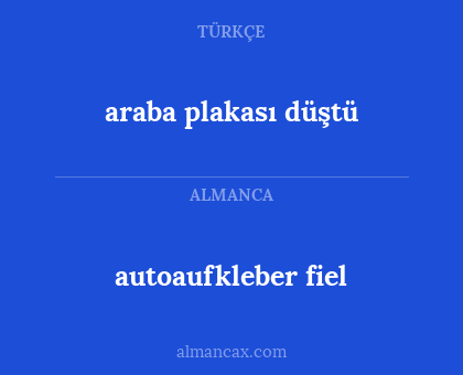 autoaufkleber fiel - araba plakası düştü