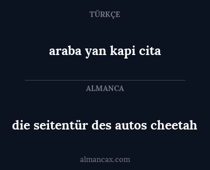 die seitentür des autos cheetah - araba yan kapi cita