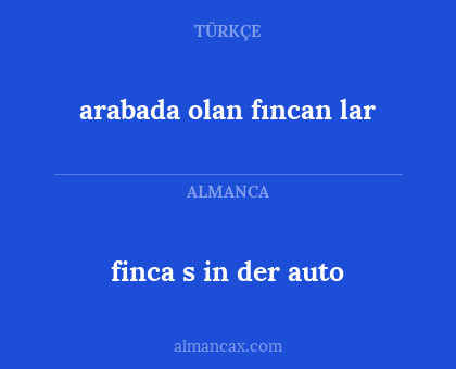 arabada olan fıncan lar - finca s in der auto