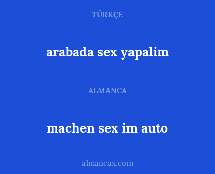 machen sex im auto - arabada sex yapalim