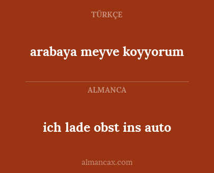 arabaya meyve koyyorum - ich lade obst ins auto