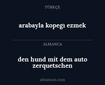 den hund mit dem auto zerquetschen - arabayla kopegı ezmek