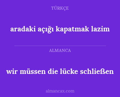 aradaki açığı kapatmak lazim - wir müssen die lücke schließen