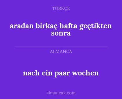 nach ein paar wochen - aradan birkaç hafta geçtikten sonra