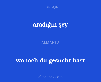 wonach du gesucht hast - aradığın şey