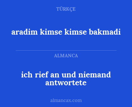 ich rief an und niemand antwortete - aradim kimse kimse bakmadi
