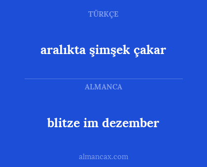 blitze im dezember - aralıkta şimşek çakar