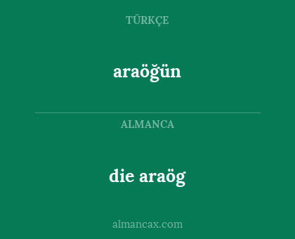 araöğün - die araög