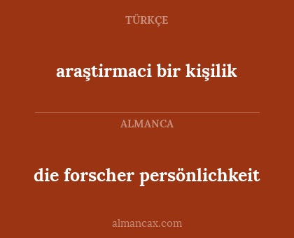 araştirmaci bir kişilik - die forscher persönlichkeit