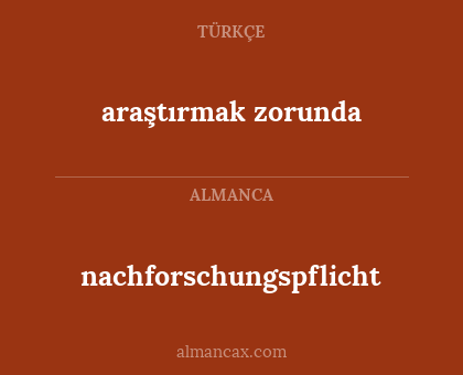 araştırmak zorunda - nachforschungspflicht