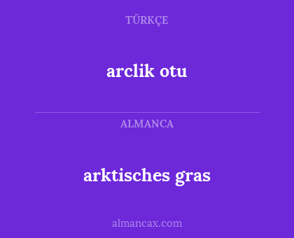 arktisches gras - arclik otu