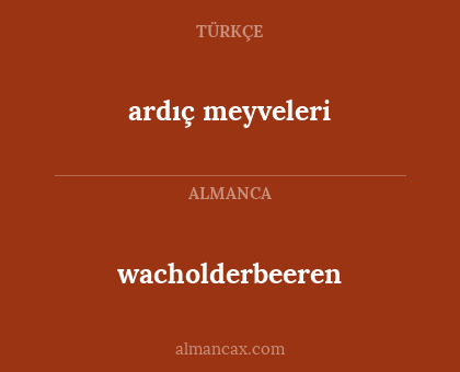 ardıç meyveleri - wacholderbeeren