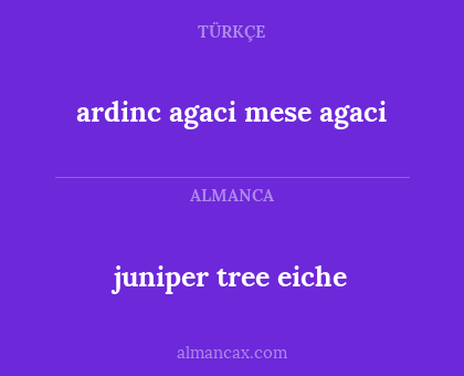 ardinc agaci
mese agaci - juniper tree
eiche