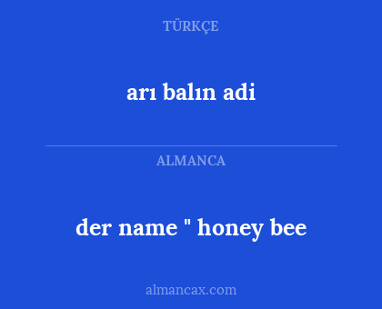 arı balın adi - der name " honey bee