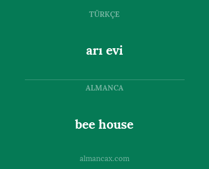 arı evi - bee house