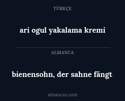 ari ogul yakalama kremi - bienensohn, der sahne fängt