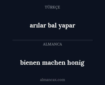 bienen machen honig - arılar bal yapar