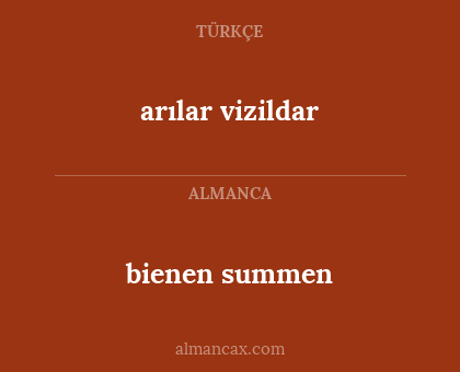 bienen summen - arılar vizildar