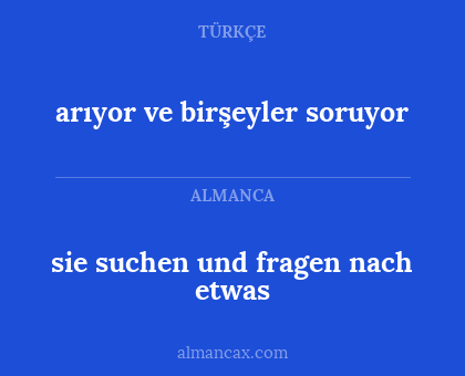 arıyor ve birşeyler soruyor - sie suchen und fragen nach etwas