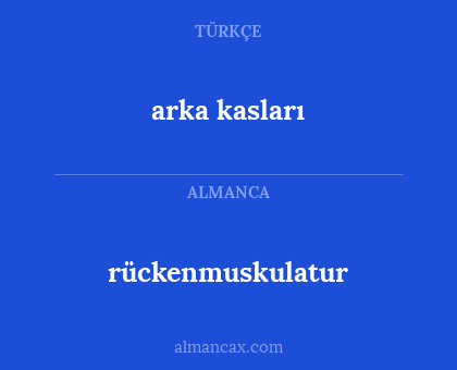 rückenmuskulatur - arka kasları