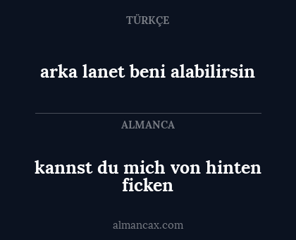 arka lanet beni alabilirsin - kannst du mich von hinten ficken