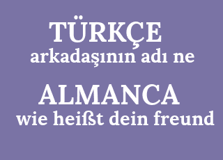 arkada%C5%9F%C4%B1n%C4%B1n+ad%C4%B1+ne-wie+hei%C3%9Ft+dein+freund.png