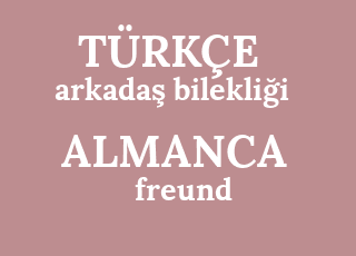 arkada%C5%9F+bilekli%C4%9Fi-freund-armband.png