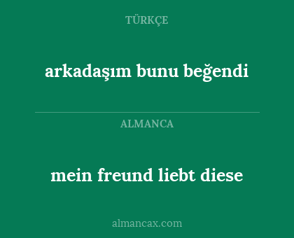 mein freund liebt diese - arkadaşım bunu beğendi
