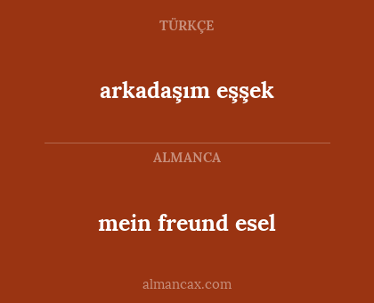arkadaşım eşşek - mein freund esel