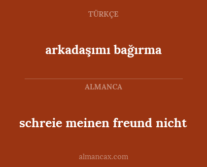 schreie meinen freund nicht - arkadaşımı bağırma