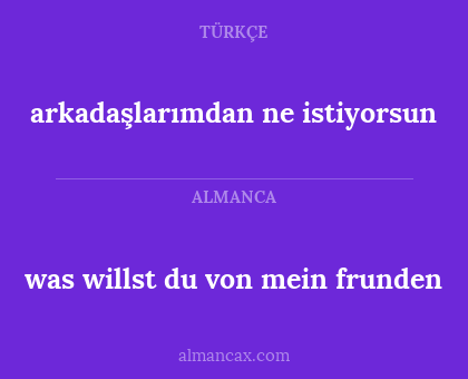 arkadaşlarımdan ne istiyorsun - was willst du von mein frunden