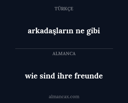 arkadaşların ne gibi - wie sind ihre freunde