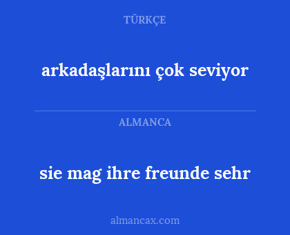 sie mag ihre freunde sehr - arkadaşlarını çok seviyor