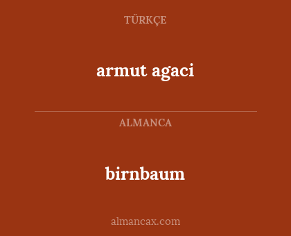 birnbaum - armut agaci