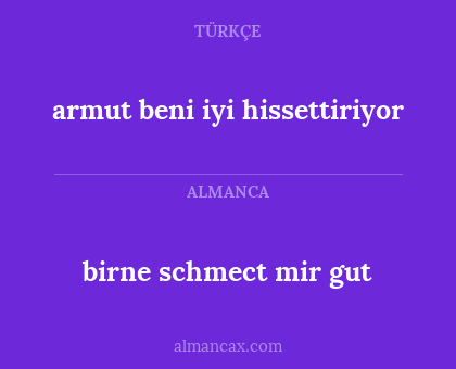 birne schmect mir gut - armut beni iyi hissettiriyor
