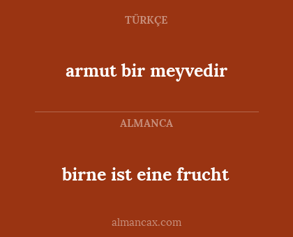 birne ist eine frucht - armut bir meyvedir