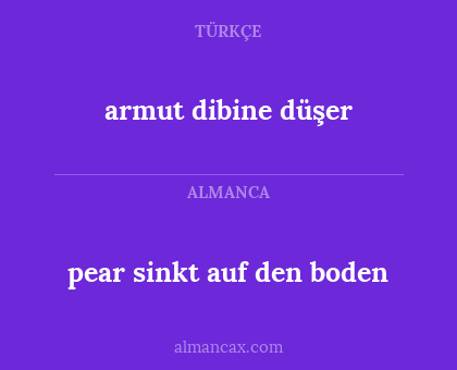 armut dibine düşer - pear sinkt auf den boden