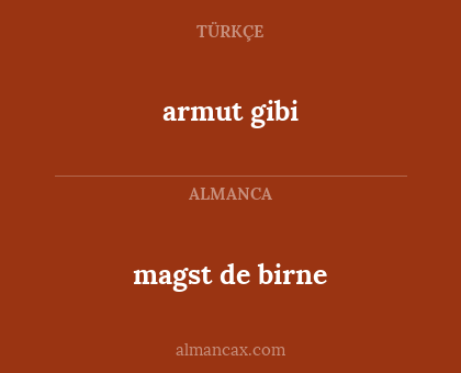armut gibi - magst de birne