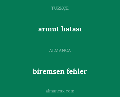 biremsen fehler - armut hatası