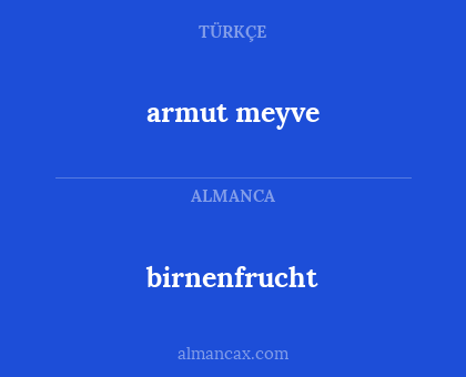 armut meyve - birnenfrucht